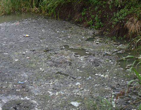 «Detectan material sólido cloacal y verdín en el Arroyo Molino»